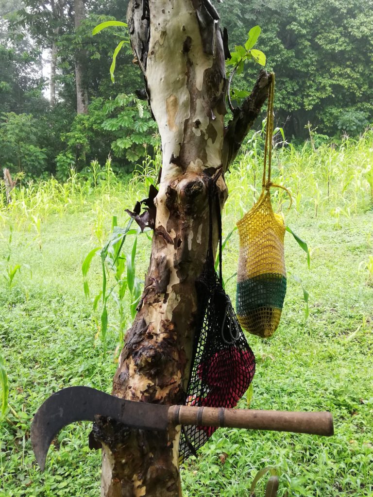 Shaded rest station. Farmers’ sickle and bags under the shade of a guayaba tree on a milpa in Chalatenango, El Salvador
Photo credit: Michael Anastario